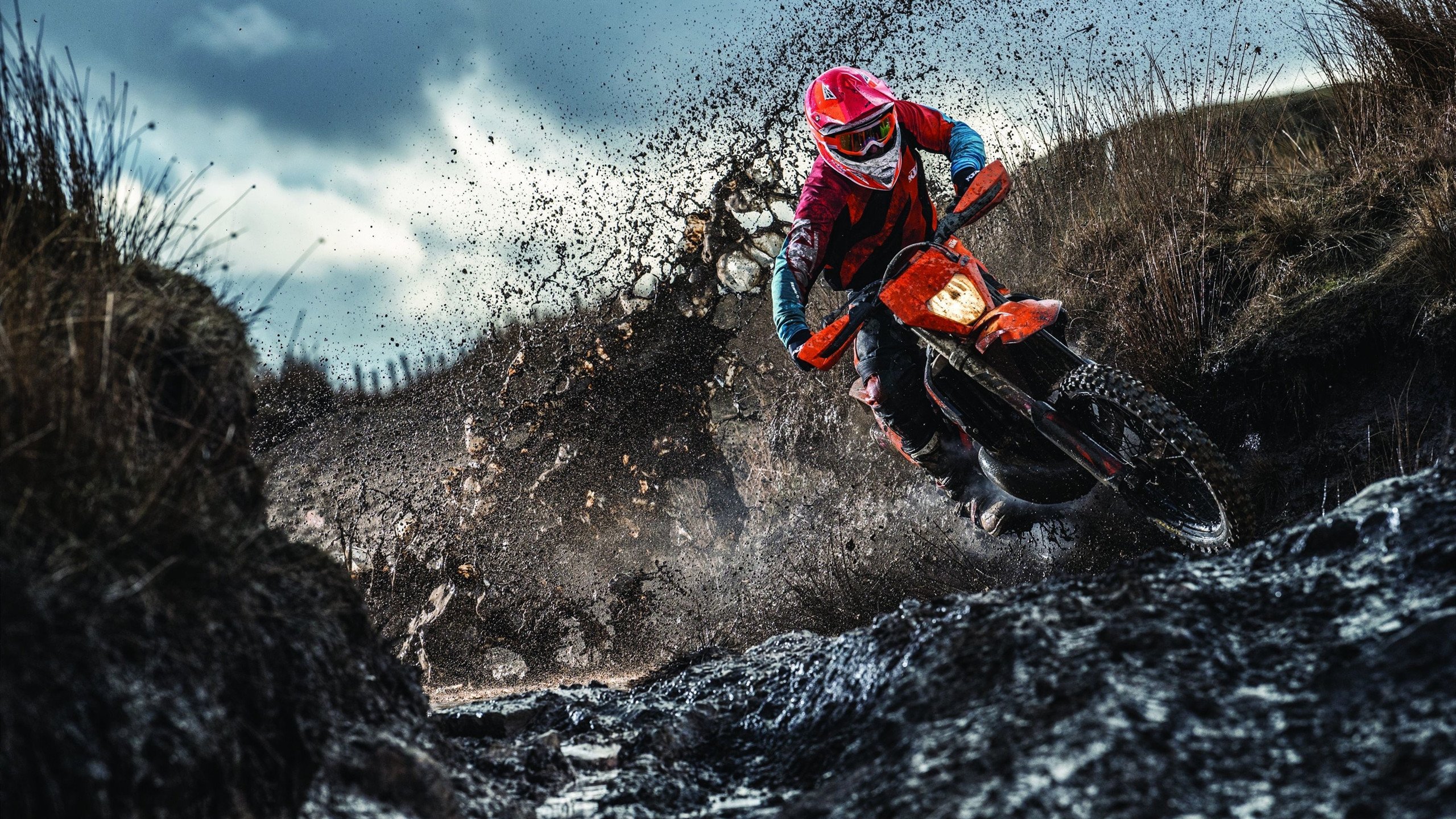 蓝月当空映多特，奥利维耶一剑封喉，德甲争冠夜的天选之子